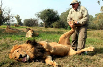 картинки про массаж прикольные с надписями
