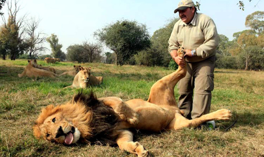 картинки про массаж прикольные с надписями